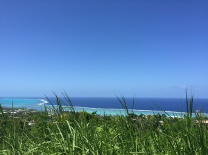 Grass and Ocean Reef.JPG