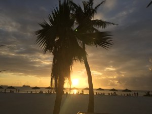 SunsetAtFiestaWithPalms