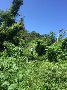 Me Hiking Laderan Tangke