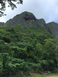 runningViewMountains