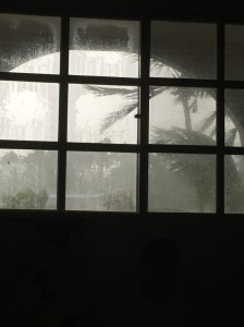 typhoonWindow