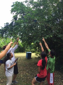 Students Looking at Tree